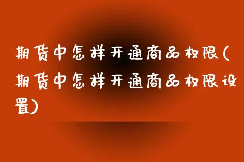 期货中怎样开通商品权限(期货中怎样开通商品权限设置)_https://www.zghnxxa.com_黄金期货_第1张