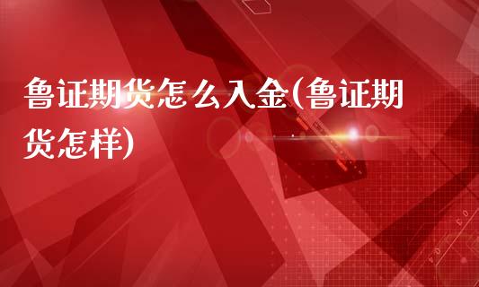 鲁证期货怎么入金(鲁证期货怎样)_https://www.zghnxxa.com_内盘期货_第1张