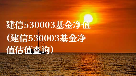 建信530003基金净值(建信530003基金净值估值查询)_https://www.zghnxxa.com_期货直播室_第1张