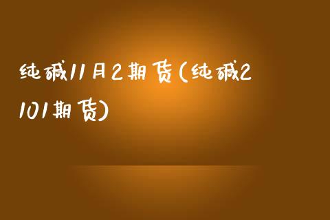 纯碱11月2期货(纯碱2101期货)_https://www.zghnxxa.com_国际期货_第1张