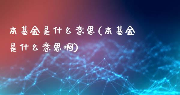 本基金是什么意思(本基金是什么意思啊)_https://www.zghnxxa.com_期货直播室_第1张