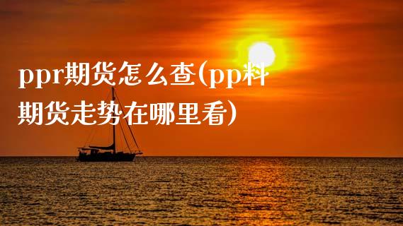 ppr期货怎么查(pp料期货走势在哪里看)_https://www.zghnxxa.com_黄金期货_第1张