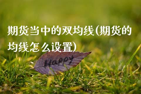 期货当中的双均线(期货的均线怎么设置)_https://www.zghnxxa.com_黄金期货_第1张