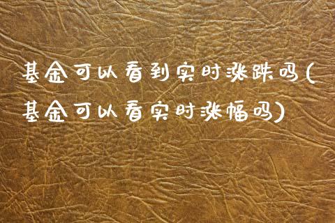 基金可以看到实时涨跌吗(基金可以看实时涨幅吗)_https://www.zghnxxa.com_国际期货_第1张