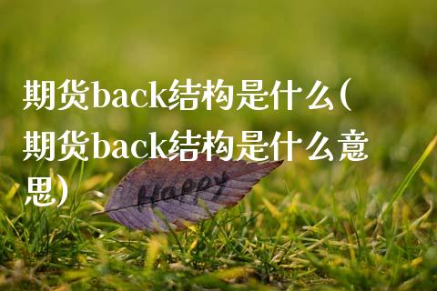 期货back结构是什么(期货back结构是什么意思)_https://www.zghnxxa.com_期货直播室_第1张