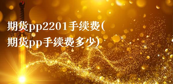 期货pp2201手续费(期货pp手续费多少)_https://www.zghnxxa.com_内盘期货_第1张