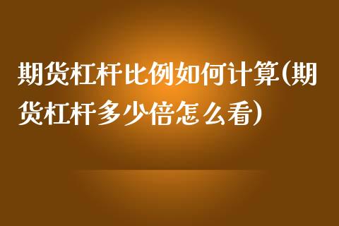 期货杠杆比例如何计算(期货杠杆多少倍怎么看)_https://www.zghnxxa.com_内盘期货_第1张