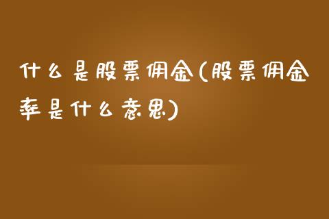 什么是股票佣金(股票佣金率是什么意思)_https://www.zghnxxa.com_黄金期货_第1张