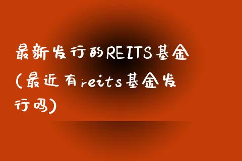 最新发行的REITS基金(最近有reits基金发行吗)_https://www.zghnxxa.com_期货直播室_第1张