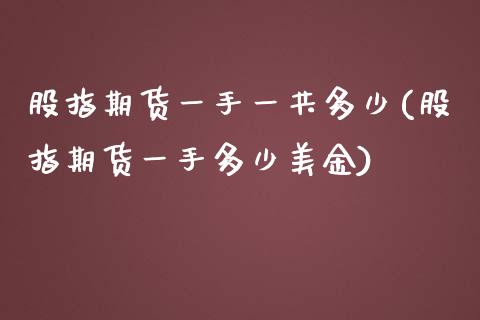 股指期货一手一共多少(股指期货一手多少美金)_https://www.zghnxxa.com_国际期货_第1张