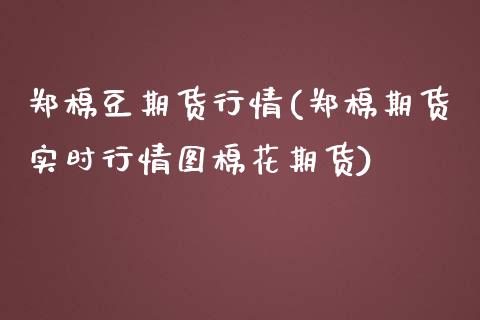 郑棉豆期货行情(郑棉期货实时行情图棉花期货)_https://www.zghnxxa.com_国际期货_第1张