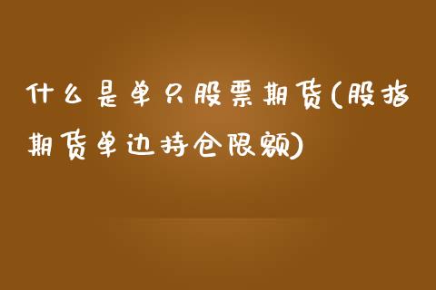 什么是单只股票期货(股指期货单边持仓限额)_https://www.zghnxxa.com_内盘期货_第1张