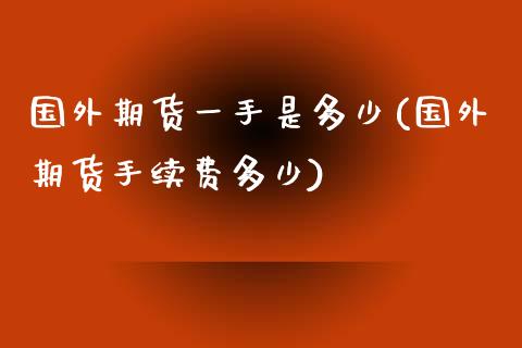 国外期货一手是多少(国外期货手续费多少)_https://www.zghnxxa.com_国际期货_第1张