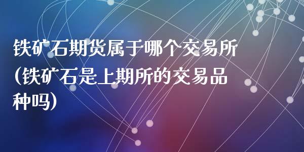 铁矿石期货属于哪个交易所(铁矿石是上期所的交易品种吗)_https://www.zghnxxa.com_黄金期货_第1张