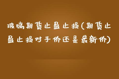 玻璃期货止盈止损(期货止盈止损对手价还是最新价)_https://www.zghnxxa.com_国际期货_第1张