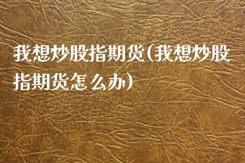 我想炒股指期货(我想炒股指期货怎么办)_https://www.zghnxxa.com_国际期货_第1张