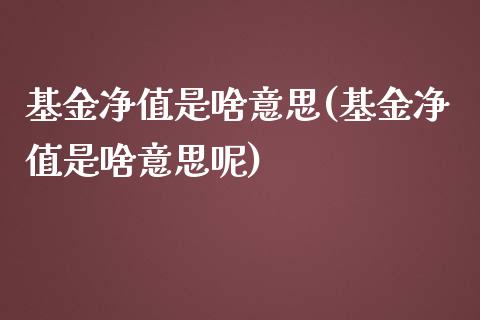 基金净值是啥意思(基金净值是啥意思呢)_https://www.zghnxxa.com_黄金期货_第1张