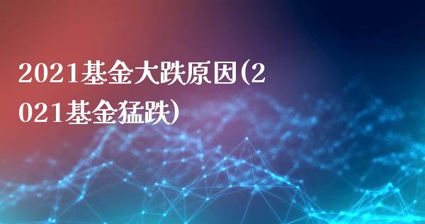 2021基金大跌原因(2021基金猛跌)_https://www.zghnxxa.com_国际期货_第1张