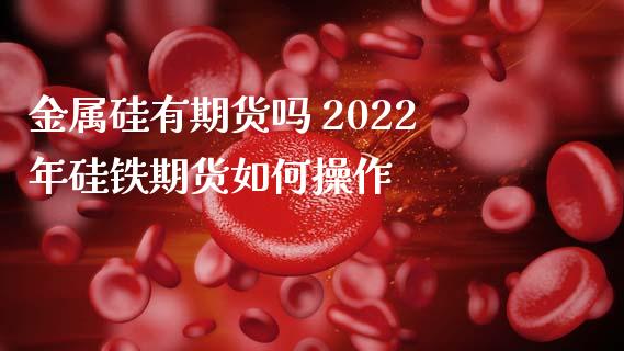 金属硅有期货吗 2022年硅铁期货如何操作_https://www.zghnxxa.com_内盘期货_第1张