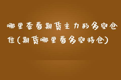 哪里查看期货主力的多空仓位(期货哪里看多空持仓)_https://www.zghnxxa.com_期货直播室_第1张