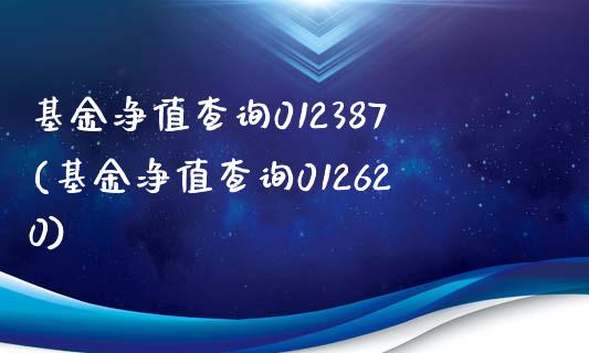 基金净值查询012387(基金净值查询012620)_https://www.zghnxxa.com_内盘期货_第1张