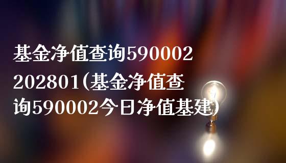 基金净值查询590002202801(基金净值查询590002今日净值基建)_https://www.zghnxxa.com_期货直播室_第1张