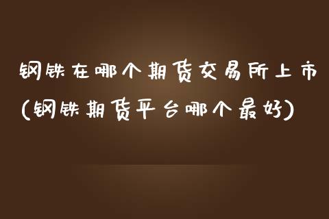 钢铁在哪个期货交易所上市(钢铁期货平台哪个最好)_https://www.zghnxxa.com_黄金期货_第1张