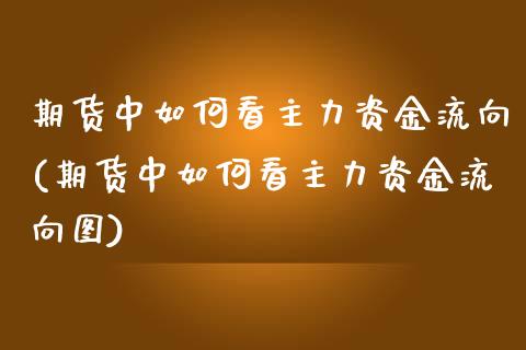 期货中如何看主力资金流向(期货中如何看主力资金流向图)_https://www.zghnxxa.com_期货直播室_第1张