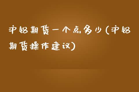 沪铝期货一个点多少(沪铝期货操作建议)_https://www.zghnxxa.com_内盘期货_第1张