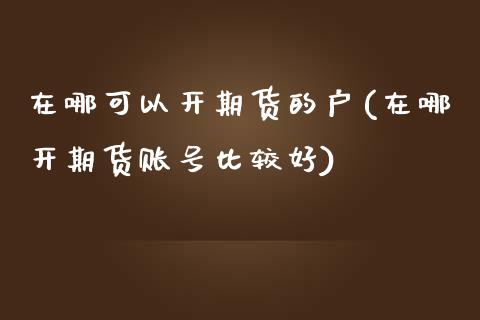 在哪可以开期货的户(在哪开期货账号比较好)_https://www.zghnxxa.com_内盘期货_第1张