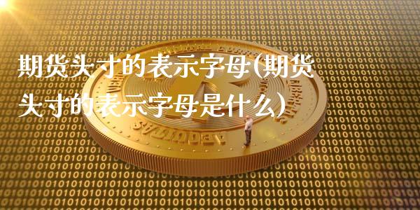 期货头寸的表示字母(期货头寸的表示字母是什么)_https://www.zghnxxa.com_内盘期货_第1张