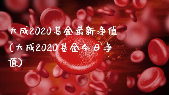 大成2020基金最新净值(大成2020基金今日净值)_https://www.zghnxxa.com_国际期货_第1张