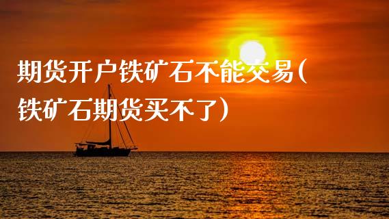 期货开户铁矿石不能交易(铁矿石期货买不了)_https://www.zghnxxa.com_内盘期货_第1张