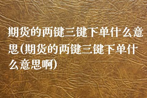 期货的两键三键下单什么意思(期货的两键三键下单什么意思啊)_https://www.zghnxxa.com_国际期货_第1张