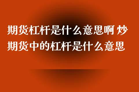 期货杠杆是什么意思啊 炒期货中的杠杆是什么意思_https://www.zghnxxa.com_内盘期货_第1张