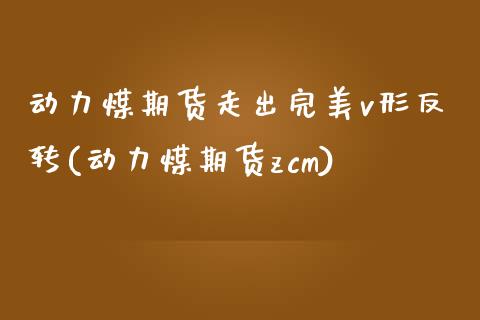 动力煤期货走出完美v形反转(动力煤期货zcm)_https://www.zghnxxa.com_期货直播室_第1张