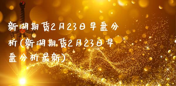 新湖期货2月23日早盘分析(新湖期货2月23日早盘分析最新)_https://www.zghnxxa.com_内盘期货_第1张