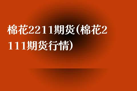 棉花2211期货(棉花2111期货行情)_https://www.zghnxxa.com_国际期货_第1张