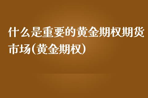 什么是重要的黄金期权期货市场(黄金期权)_https://www.zghnxxa.com_黄金期货_第1张