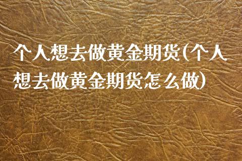 个人想去做黄金期货(个人想去做黄金期货怎么做)_https://www.zghnxxa.com_黄金期货_第1张