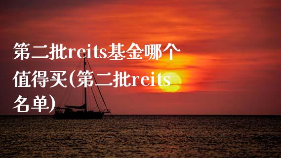 第二批reits基金哪个值得买(第二批reits名单)_https://www.zghnxxa.com_国际期货_第1张