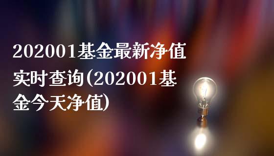 202001基金最新净值实时查询(202001基金今天净值)_https://www.zghnxxa.com_内盘期货_第1张