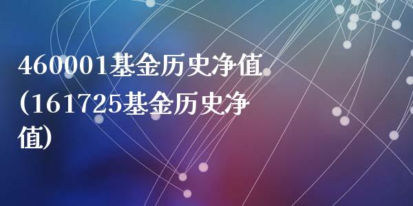 460001基金历史净值(161725基金历史净值)_https://www.zghnxxa.com_期货直播室_第1张