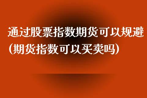 通过股票指数期货可以规避(期货指数可以买卖吗)_https://www.zghnxxa.com_内盘期货_第1张