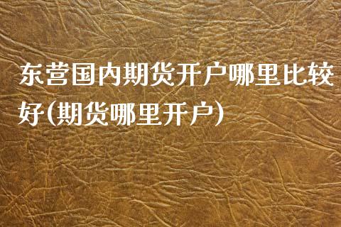 东营国内期货开户哪里比较好(期货哪里开户)_https://www.zghnxxa.com_国际期货_第1张