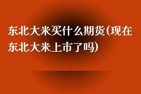 东北大米买什么期货(现在东北大米上市了吗)_https://www.zghnxxa.com_期货直播室_第1张