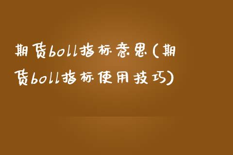 期货boll指标意思(期货boll指标使用技巧)_https://www.zghnxxa.com_内盘期货_第1张