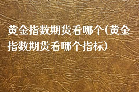 黄金指数期货看哪个(黄金指数期货看哪个指标)_https://www.zghnxxa.com_黄金期货_第1张