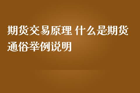 期货交易原理 什么是期货通俗举例说明_https://www.zghnxxa.com_黄金期货_第1张