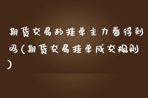 期货交易的挂单主力看得到吗(期货交易挂单成交规则)_https://www.zghnxxa.com_期货直播室_第1张